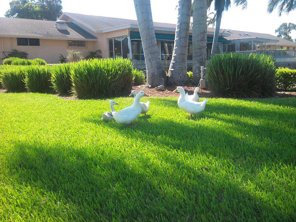 Hollywood Beach Golf Resort מראה חיצוני תמונה